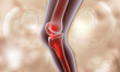 Human knee anatomy knee pain. 3d illustration...