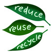 © Marina Lahereva - Hand drawn illustration of reduce reuse recycle ecological concept on green leaf leaves. Environment protection slogan, waste garbage control, organic ecology recycling icon logo.