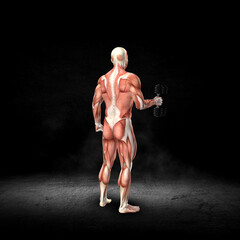 Wall Mural - 3D male medical figure with muscle map in rotator cuff stabilization out pose in grunge interior