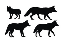 Coyote Walking Silhouette Bundle Design. Wild Coyotes Vector Design On A White Background. Coyote Standing In Different Positions Silhouette Collection. Coyote Wolf Walking Silhouette Set Vector.