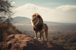 a lion standing on a rock on a hill