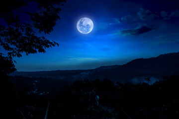 Wall Mural - full moon over the forest