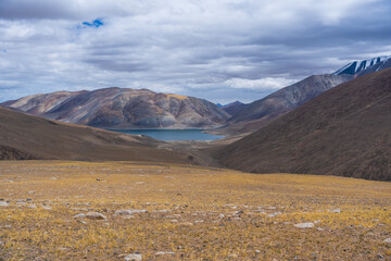 Wall Mural - Grass fields in the valley, mountains around the Pangong lake and blue sky