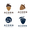 © Nur - Acorn Logo Template with Leaves