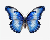 Fototapeta Motyle - Majestic Blue and White Butterfly Gracefully Spreads its Wings on a Transparent Background, generative AI