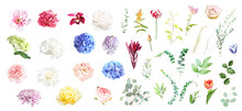 Pink Rose, Hydrangea, Dahlia, White Peony, Orchid, Ranunculus, Spring Garden Flowers, Eucalyptus, Greenery, Fern