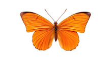Beautiful Orange Butterfly Isolated On A White Transparent Background. Generative AI Illustration	