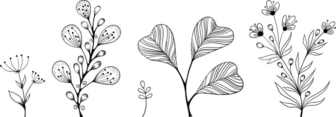 Wall Mural - Set of ornamental plants drawn in black outline.