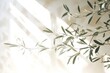 © id512 - Shadows of olive tree leaves, branches over white wall. Summer background, sunlight overlay, empty copy space. Mediterranean concept.