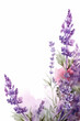 purple watercolor lavender flowers isolated on white, ai generated