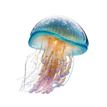 Jellyfish On A Transparant Background, PNG, Generative Ai