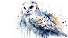 Hedwig White Owl Aquarell Hand Painted Fan Animal Gift Magical Harry Potter AI Generated