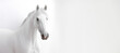White horse on white background banner. Generative AI
