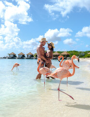 Wall Mural - a couple of men and women on the beach with pink flamingos at Aruba Island Caribbean.