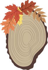 Wall Mural - Wooden cut with Autumn leaves in isolated background.