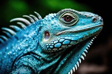 Close-up View Of A Colorful Lizard In Shades Of Blue And Green Generative AI