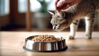 Dry feed Scottish cat. Close-up shot, a female hand pours cat food into a bowl