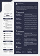 © Irullimin - professional curriculum vitae template vector