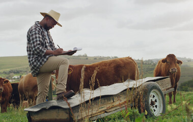 Poster - Farm inspection, cattle and a black man with notes on farming, agriculture growth and progress. Planning, field and an African farmer writing a report on cows for sustainable business and inventory