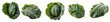© Awesomextra - Set of collard green isolated on transparent background