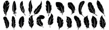Bird Feather Icons