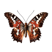 Question Mark Butterfly, Generative AI