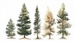 set of watercolor snowy pine tree, generative ai