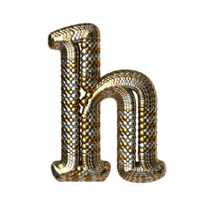 Wall Mural - Symbol made of gold and silver like the scales of a snake. letter h