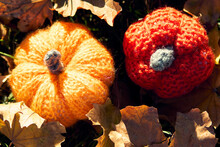 Top View Of Two Crochet Pumpkins With Autumn Red Dry Leaves On Green Grass. Handmade Knitted Pumpkins. Autumn, Harvesting, Halloween Or Thanksgiving Concept.