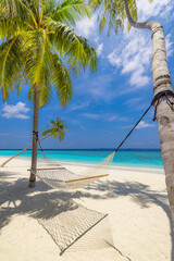 Poster - Tranquil travel landscape. Tropical beach background. Summer relaxing closeup hammock hanging between palm trees, white sand sunny blue sky sea horizon. Amazing beach vacation summer holiday concept