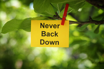A yellow paper note with the phrase Never Back Down on it attached to a tree branch with a clothes pin