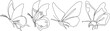 © mamaz - Butterfly continuous  line vector illustration  drawing bundle set