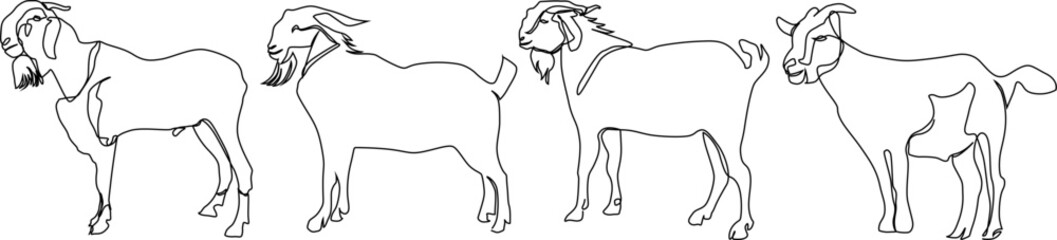 Wall Mural - continuous line drawing of goat
Bundle set