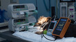 © Александр Лебедько - The dog lies on the operating table in surgery, surrounded by monitors monitoring vital signs. A veterinary anesthetist monitors a dog's heart rate and oxygen during surgery.