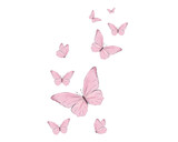 Fototapeta Motyle - pink butterfly on white background