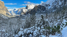 Snow Covered Pine Trees Facing El Capitan, Half Dome And Bridalveil Falls From Tunnel View In Yosemite National Park, California