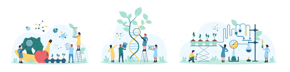 Science in agriculture, food safety set vector illustration. Cartoon tiny people look through magnifying glass at DNA, vegetables and fruits to research quality of products, grow plants with equipment