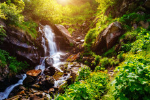 A Small Waterfall Among The Greenery Under The Sun's Rays.