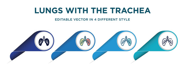 Wall Mural - lungs with the trachea icon in 4 different styles such as filled, color, glyph, colorful, lineal color. set of vector for web, mobile, ui