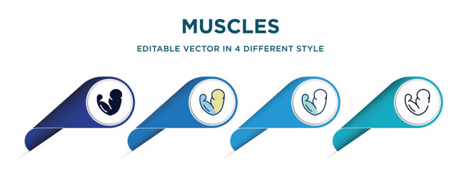 Poster - muscles icon in 4 different styles such as filled, color, glyph, colorful, lineal color. set of vector for web, mobile, ui