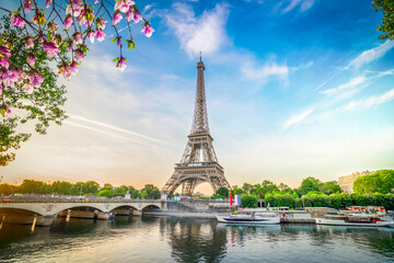 Wall Mural - eiffel tour over seine river