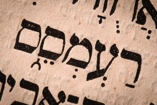 Hebrew word in Torah page. English translation is name Ramesses II, the Egyptian pharaoh or Ramesses the Great. Third ruler of the Nineteenth Dynasty in ancient Egypt. Selective focus. Closeup.