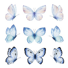 Watercolor Set Of Bright Blue Hand Painted Butterflies. Design For The Decoration Of Postcards, Invitations, Greeting Cards, Birthday, Souvenirs, Weddings.