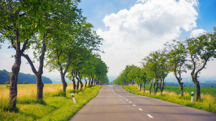 through the beautiful countryside of slovakia, passing by fields and trees. scene in a serene and peaceful ambiance