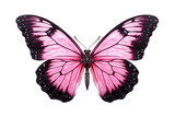 Fototapeta Motyle - Top view, black pink butterfly with Transparent Background, Generative AI