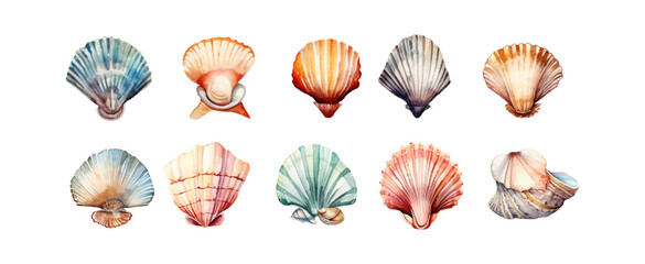 Watercolor seashells collection isolated on white background. Ocean marine sea element graphic design. Vector illustration