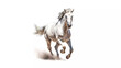 Witness the power and grace of a majestic white horse in motion as it gallops. White background. 