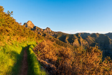 Wall Mural - View with amazing madeira mountains covered yellow grass, beautiful path, green trees, blue sky with sun and clouds in portugal at sunset. Mountain canyon. Travel in madeira.Landscape