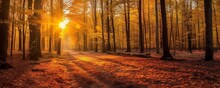 Golden autumn mood in the forest with effective sun rays. Created with Generative AI technology