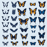 Fototapeta Motyle - set of butterflies isolated on white